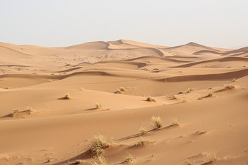 Fototapeta na wymiar Sand dunes in the Merzouga Sahara desert - Morocco