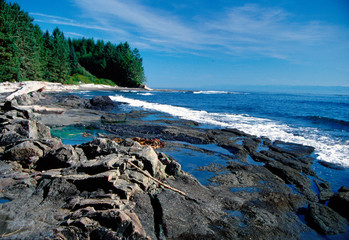 Sea, Ocean, Pacific, West Coast, Vancouver Island, Canada