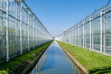 Perspective view of a modern industrial greenhouse for tomatoes in the Netherlands