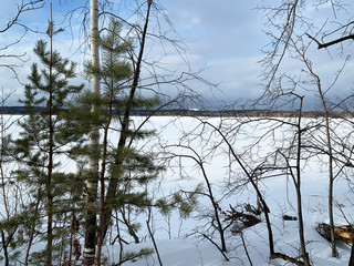 Obraz premium Russia, Chelyabinsk region. Trees on the shore of Elm island on lake Uvildy in sunny winter day