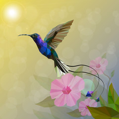 Isolated of Low poly colorful Hummingbird and flower,animal geometric,party birds concept,vector.