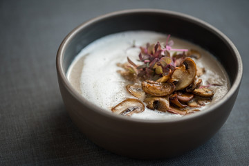 Vegetable and mushroom soup with fresh onions