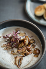 Vegetable and mushroom soup with fresh onions