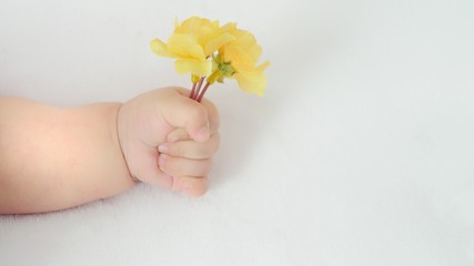 Mano de bebé con flores amarillas en un fondo blanco. Día de las madres 