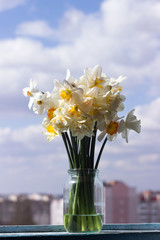 A bouquet of beautiful different daffodils in a glass jar stands on the windowsill of an open window. Spring flowers at home