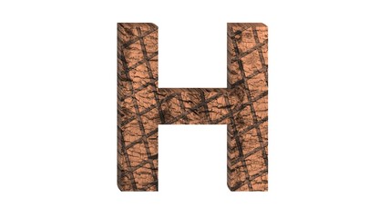 3D ENGLISH ALPHABET MADE OF GRILLED BEEF STAKE : H