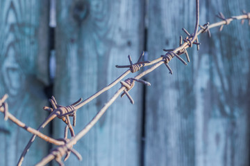 metal, rusty rods on a background of blue fence. Knots made of metal, barbed wire, Prison.