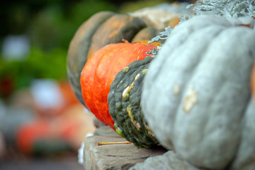 pumpkin on a wooden table