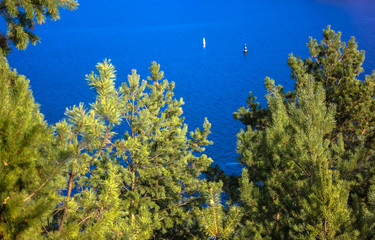Fototapeta na wymiar Green pines and the lake with blue water: rest in summer, nature of Ukraine