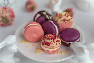 Macaron cake of different colors of large size in a beautiful layout on a light white background