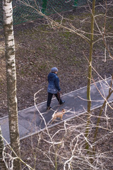 Trees, spring. View from the window during COVID-19