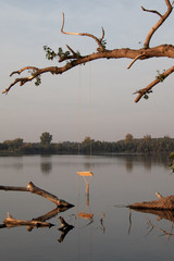 eine Schaulel am See