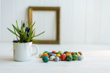 Multi-colored Easter eggs on a white wooden background