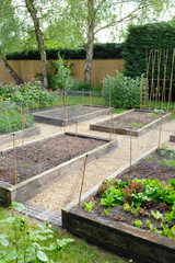 Vegetable gardening, vegetable beds, UK