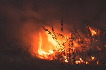 The raging flame of fire burn in the fields, forests and black thick acrid smoke. Big spring...