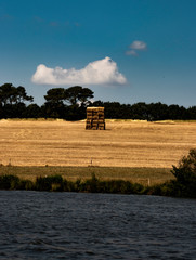 Champ au bord de la rivi&egrave;re 