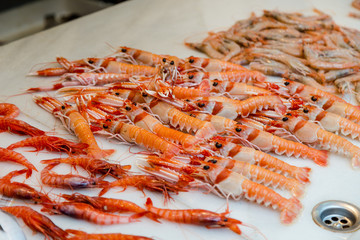 Shrimp and prawns on display at the farmers market in Malaga, Spain