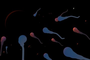 3d rendering egg and sperm illustration