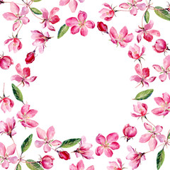 Hand drawn round frame of watercolor Apple Blossom. Watercolor illustration wreath of apple and cherry flowers