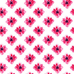 Sakura flowers pattern background, cherry blossom watercolor floral pink petals seamless decoration design on white. Cherry blossom, Japanese sakura blooming pink flowers pattern in blush watercolor