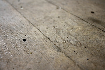 Bannock County Ghost Town Floor Dusty Texture Background