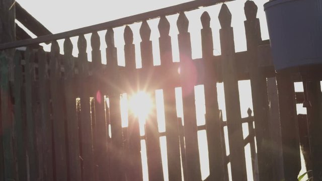 sun through a picket fence