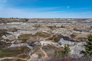 View of the popular Horseshoe Canyon in late spring, Canadian Badlands in summer, Drumheller, Alberta, Canada