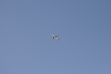Fototapeta premium airplane in the sky