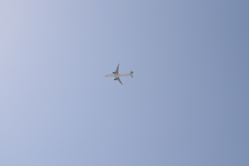 airplane in flight