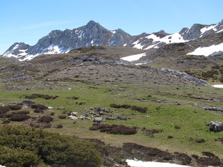 Fototapeta na wymiar Cordillera Cantábrica. Nacimiento del río Sil