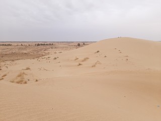 Sand dunes in desert on Algeria