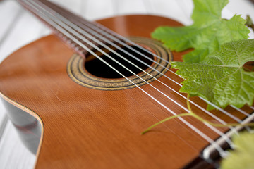 Fototapeta premium Classic guitar with vine leafs