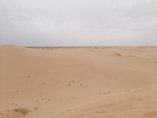 Sand dunes in desert on Algeria