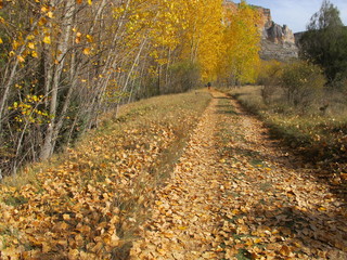pARQUE NATURAL hOCES DEL rÍO rIAZA