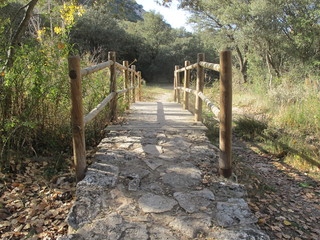 Hoces del río Riaza.