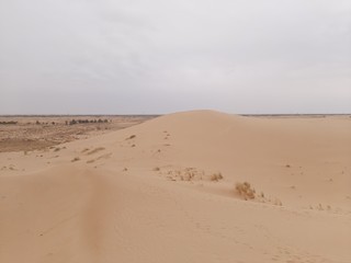 Fototapeta na wymiar Sand dunes in desert on Algeria