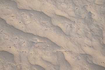 sand texture background