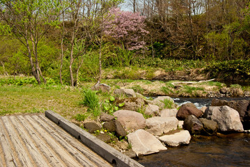 川と桜のある風景