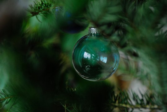 Close-up Of Electric Bulb On Christmas Tree