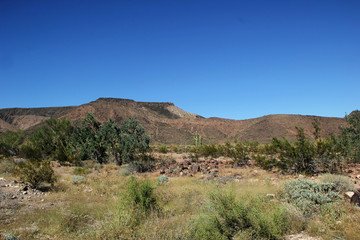 Fototapeta na wymiar Desert Landscape with Mountains of the Western United States