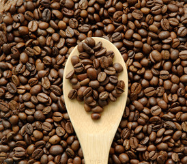 coffee beans on a wooden spatula. close-up.