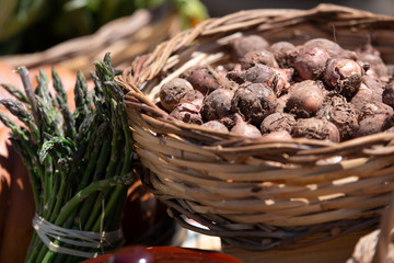 Mangiare sano, dieta mediterranea. Cesto di lampascioni (cipolla canina, cipollaccia turchina, cipollaccio col fiocco o giacinto dal pennacchio) tipico della Puglia e della Basilicata