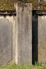 Part of massive old concrete fence wall with decorative elements partially covered with moss on top surrounded with uncut grass and trees in background
