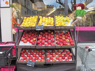 La provenza francesa