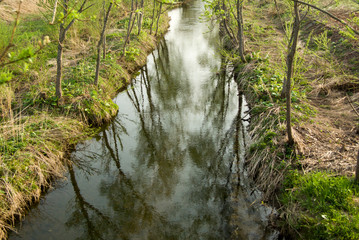 ネコヤナギと田舎の川の春風景
