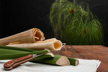 The making of papyrus paper: rolled up papyrus sheets, stems of a plant and the typical knife - 342949760