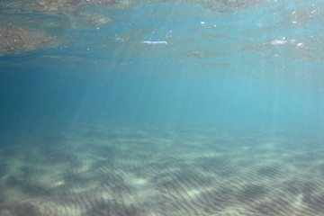Fototapeta na wymiar Underwater sea with blue water and sand bottom 
