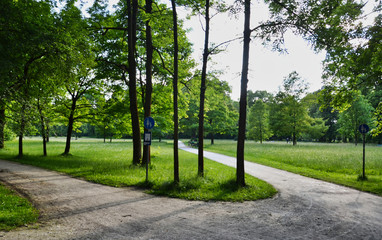 Two Roads through the Park with Trees