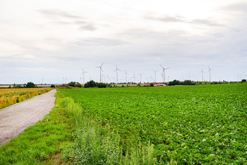 Fototapeta na wymiar Wind turbines for the production of electricity from wind in a field in western Germany, dirt road visible. 