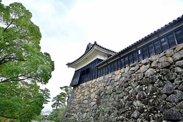 Fototapeta na wymiar 青空バックにそびえるお城の櫓＠島根